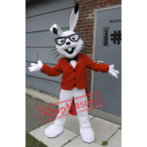 Rabbit mascot outfit